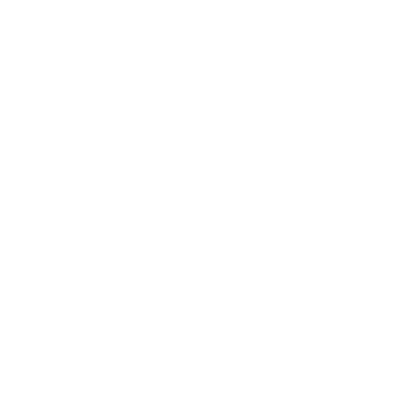 ottica veneta